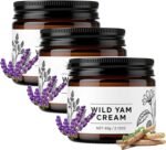 Wilderglow Wild Yam Cream,Moisturizing Body Cream with Vitamin E Aloe Vera, Soothing Plant-Based Moisturizer to Help Support Hormonal Balance for Women & Men, Gentle Safe Non-Greasy (3PCS) - Image 2