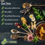Wormwood Herbal Tea - Artemisia Absinthium | Pure Natural Herbal Tea Grown in Europe (20 Tea Bags 40g) - Image 2