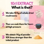 HYBRID HERBS – Organic Tremella Mushroom | 10:1 Extract Powder 113g | Anti Aging Supplement for Beauty & Skin | Rich in Antioxidants, Beta Glucans, Vitamin D & Prebiotic Fibre - Image 7