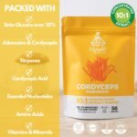HYBRID HERBS – CORDYCEPS Mushroom Powder 10X Strength - Supplement for Muscle, Energy, Gym Workout, Immunity Support with Beta Glucans & Adenosine - HIGH Potency 10:1 Extract - 56 Serving (56g) - Image 3