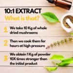 HYBRID HERBS – CORDYCEPS Mushroom Powder 10X Strength - Supplement for Muscle, Energy, Gym Workout, Immunity Support with Beta Glucans & Adenosine - HIGH Potency 10:1 Extract - 56 Serving (56g) - Image 6